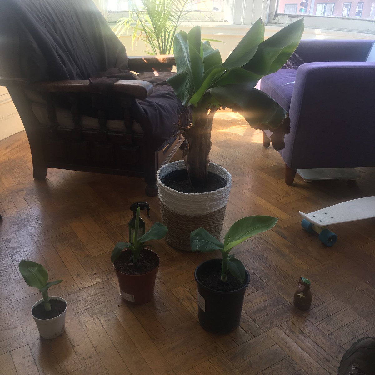 Aaron Ward tweet media