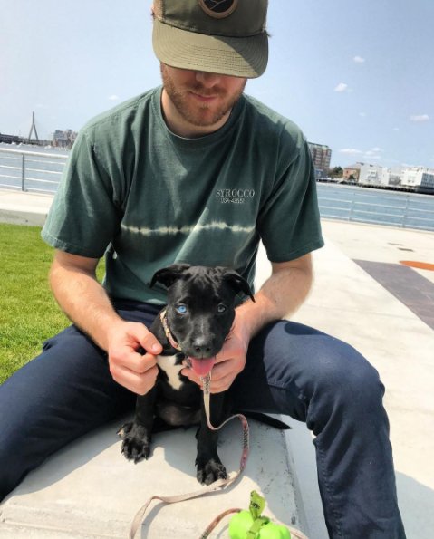 #DogsOfTheEddy #DoggieDays #EddyLiving #LoveWhereYouLive #Greystar #Gerdingedlen #Community #WhiteWalker #GOT