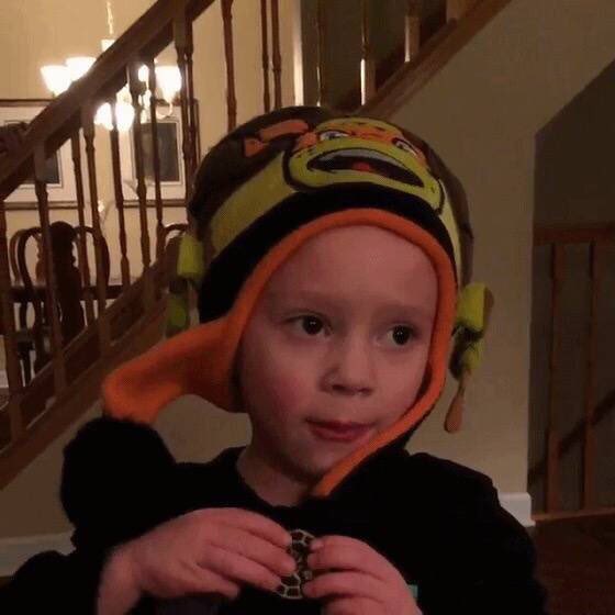fakekaia's tweet photo. Gavin is so cute 😂😂@katiebaby83 #gavin https://t.co/fEX6oqsbiK