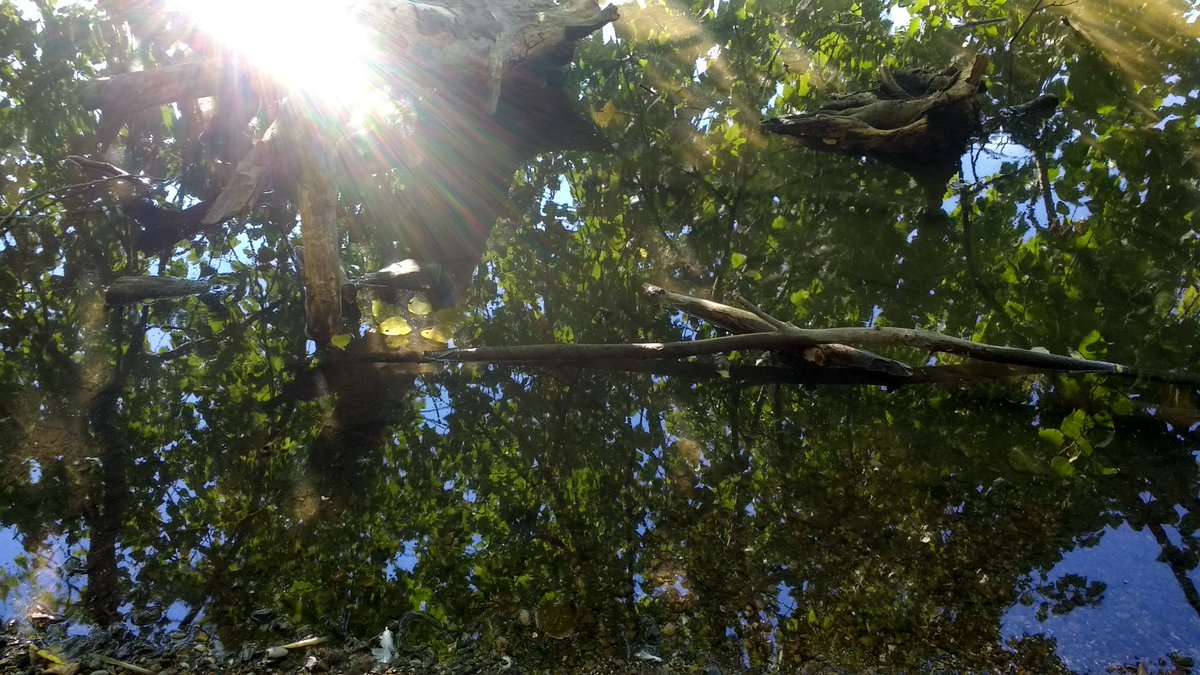 PAPSMK's tweet image. Going back to the secret garden...