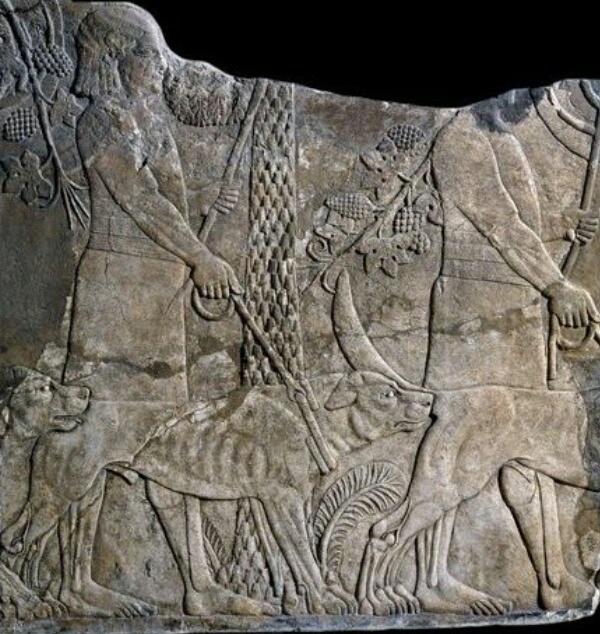 GilgameshIQ's tweet photo. لوح اشوري يظهر امراة و رجل في نزهه مع كلابهما 627 ق.م https://t.co/m2iCkadTGS