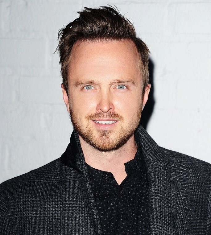 Happy Birthday Aaron Paul! What\s your favourite role he played? 