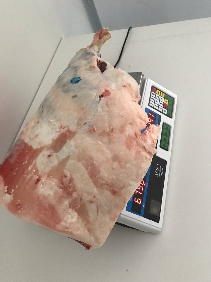 chambersmeatco's tweet photo. BIG MASSIVE #MuttonLeg #Navajo #Mutton #Chambersmeatcompany https://t.co/p71ZCLYsad #mesaaz #tempeaz sold all year! Free Delivery https://t.co/BKXJt8gqCV