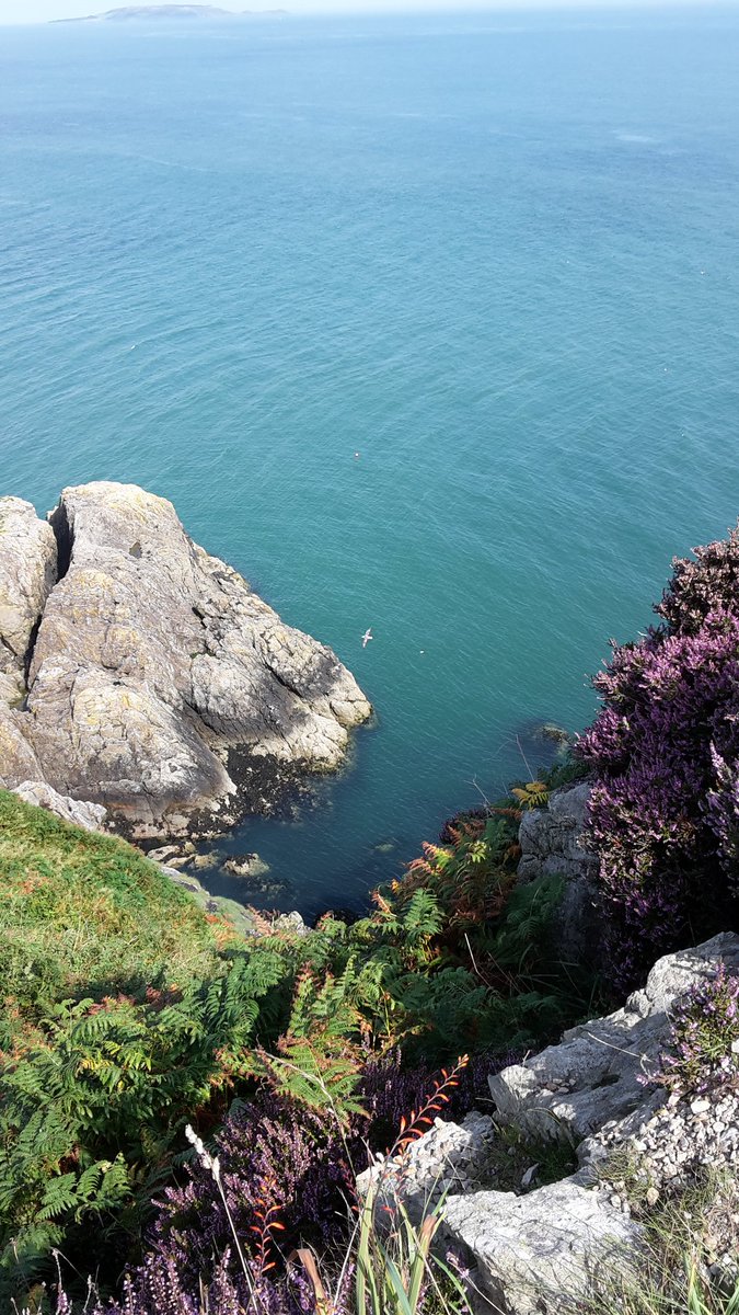 AnitaBollmann's tweet photo. Preparing for the conference while taking a cliff walk near Dublin #tomorrowistheday #SUSTAIN2017 #Dublin #PhDlife https://t.co/XStVX2kscy
