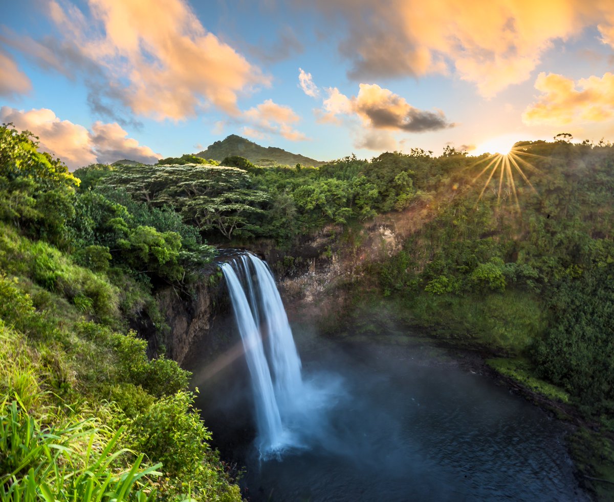adventurestep_'s tweet photo. Rainforest sunlight✨
 
See more #photography at: https://t.co/7zzm4xzew6
 
#nature #travel #paradise #hawaii #adventure #waterfall https://t.co/GIMsIGAzK9