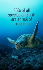 TrashSurfers's tweet photo. IF CHANGE DOESN'T HAPPEN ...
THE CONTINUOUSLY GROWING NUMBER...
#WECANTBETHATSTUPID #AVOIDHUMANEXTINCTION #HELPINGANOTHERTOUNDERSTAND #DOIT https://t.co/lICN10glIX