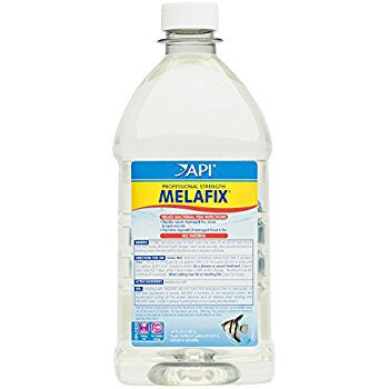 EveryVitamins's tweet photo. API PIMAFIX Antifungal Freshwater and Saltwater Fish Remedy - 16 Floz  https://t.co/2NwmcmryzU https://t.co/ZQetvGRAeZ