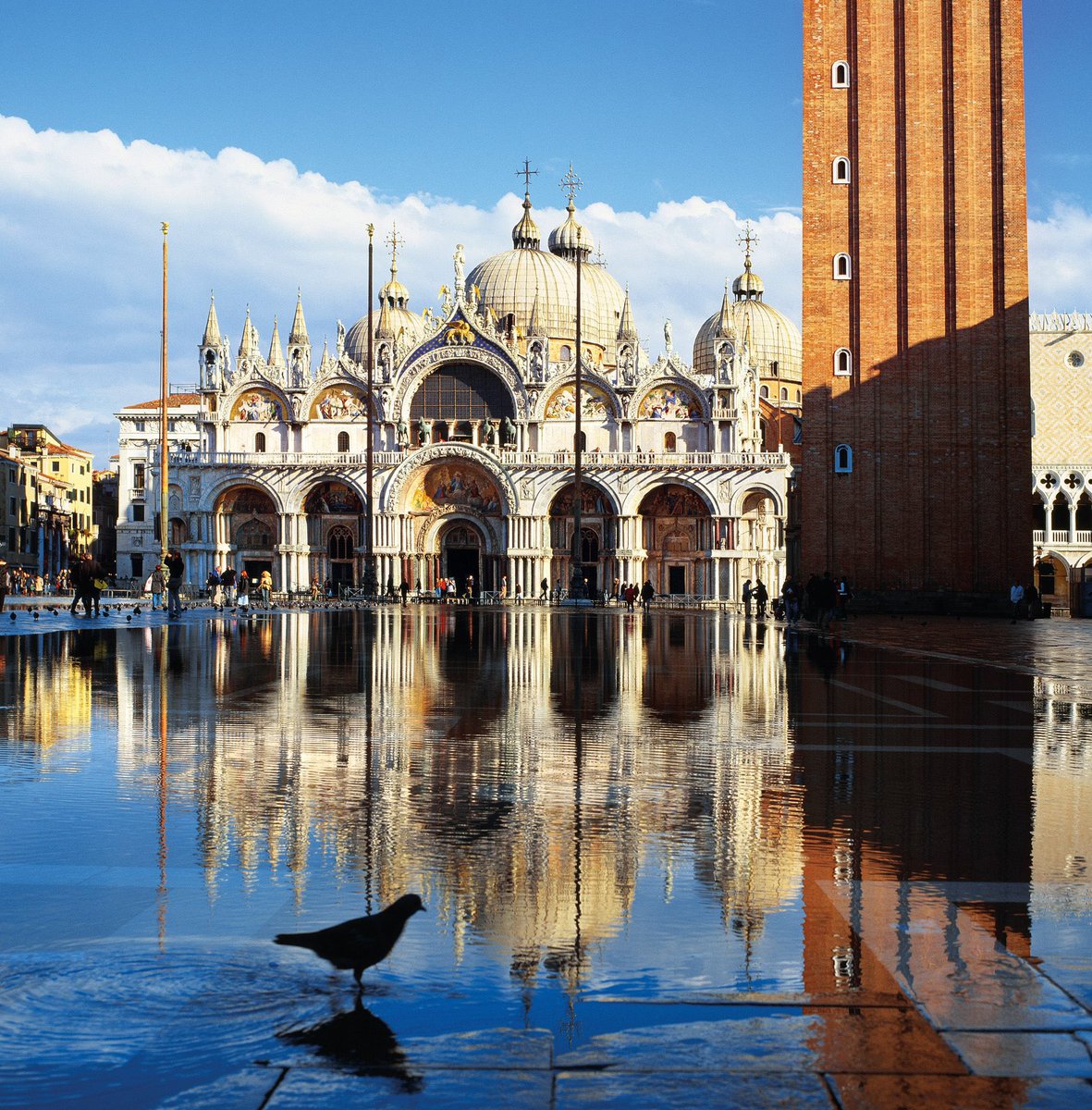 FestJumpers's tweet photo. RT
Bitácora Fest Jumpers: 43 días viajando.
Ahora de Bélgica a Italia con @Eurail al festival #HOME y a conocer la bellísima Venecia. 🇮🇹 https://t.co/K0Uif7Glm0
