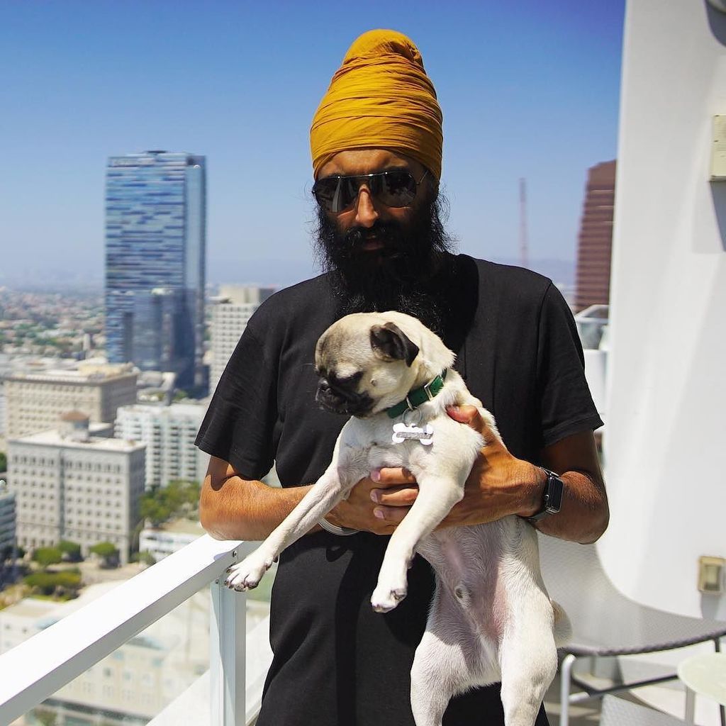 humblethepoet's tweet photo. My godson @guppythepug https://t.co/Kcy7l7DEYL https://t.co/iFdYgfRgPU