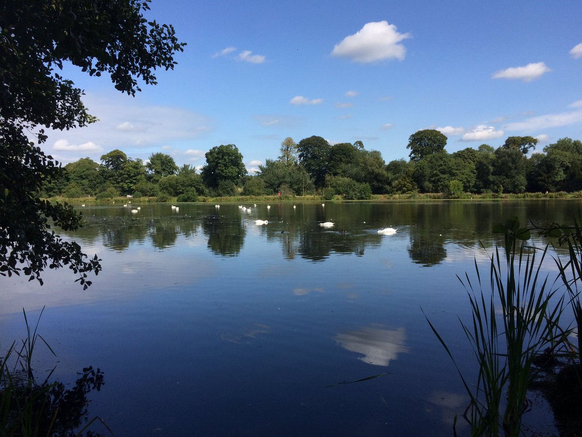 LeanneR91's tweet photo. Beautiful day @TrenthamEstate 🌾⛲️🌳 https://t.co/HALCwPBQNe