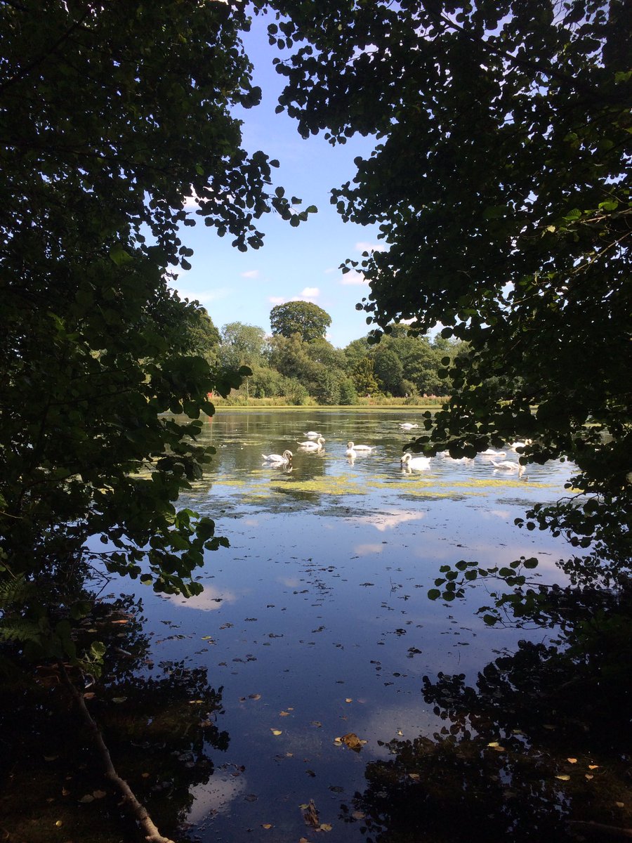 LeanneR91's tweet photo. Beautiful day @TrenthamEstate 🌾⛲️🌳 https://t.co/HALCwPBQNe