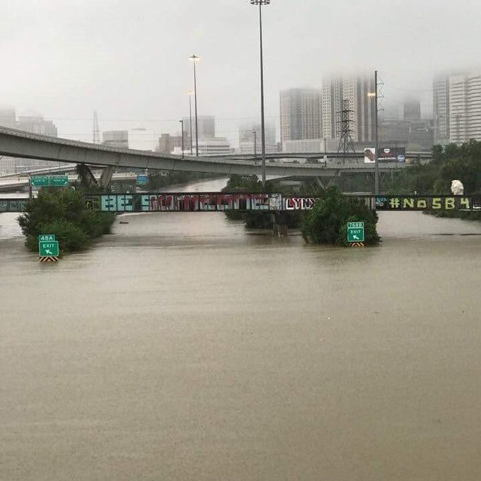 Ver imagen en Twitter Ver imagen en Twitter