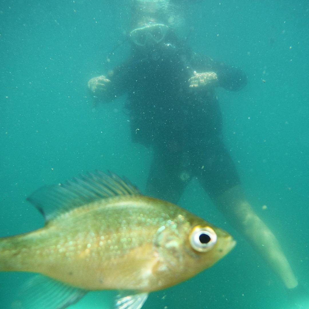 Lea_sophiaa's tweet photo. When a fish photobombs your #scuba selfie 😂😂🐟🌊 #mermaidprobs @RealSaltLife https://t.co/UIjJrh76Dc