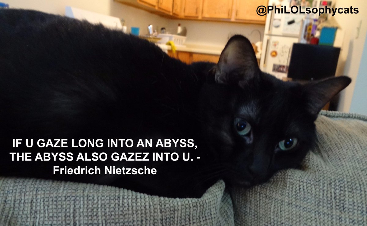 PhiLOLsophycats's tweet photo. Much like a solar eclipse, you can't stare too long into the abyss or maybe you can with some special glasses? @neiltyson #cats #Philosophy https://t.co/QCPMgO6sQ6