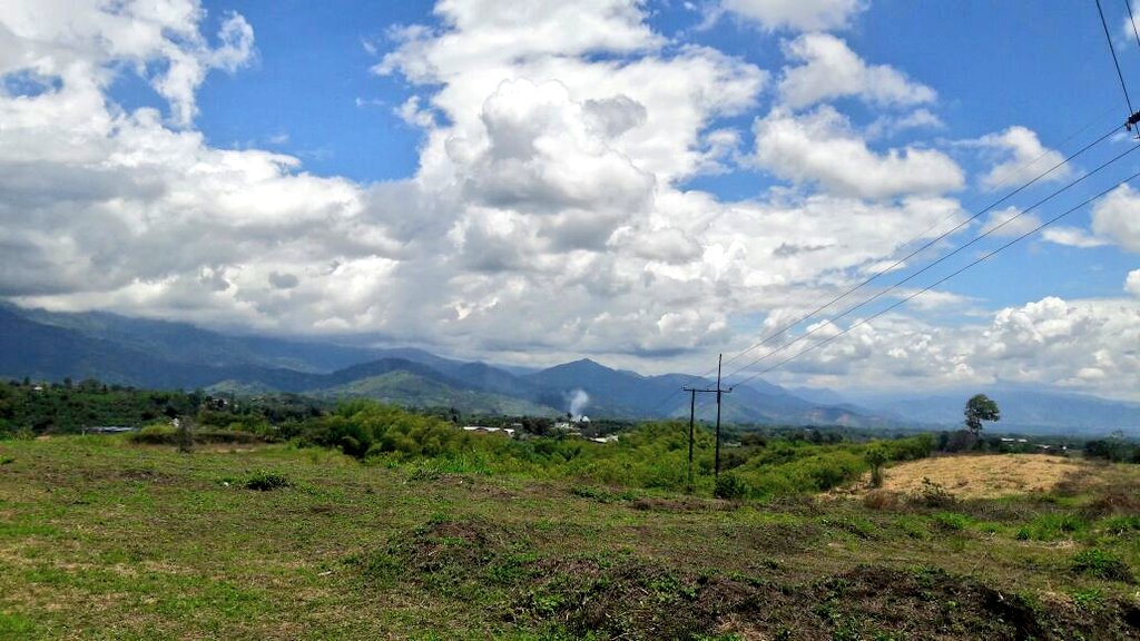 ZonaTrebol's tweet photo. En #Trébol amamos la naturaleza. 
Compartimos el paisaje que hace después de la lluvia 🌧️, y los visitantes en nuestro apartamento modelo 😍 https://t.co/KM2Qx0Mzzn