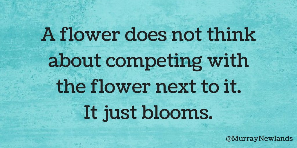 MurrayNewlands's tweet photo. A flower does not think about competing with the flower next to it. It just blooms.

#LoveYourself
#Motivation https://t.co/eUSb1LXYrV