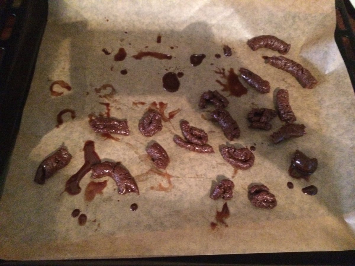 gammelfleischRU's tweet photo. kleine schwester von freundin hat plätzchen gemacht und will dass ich probiere, lak niemals werd ich das an mein mund lassen https://t.co/9z5Nzbbh5l