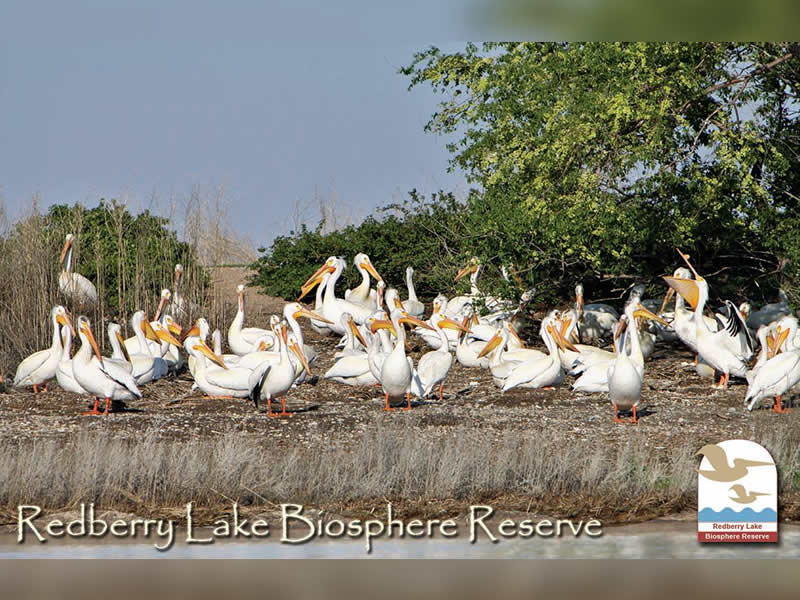U of S Researcher Being Recognized for Work with UNESCO dlvr.it/Pj0BWj https://t.co/XjDGO8hCsI