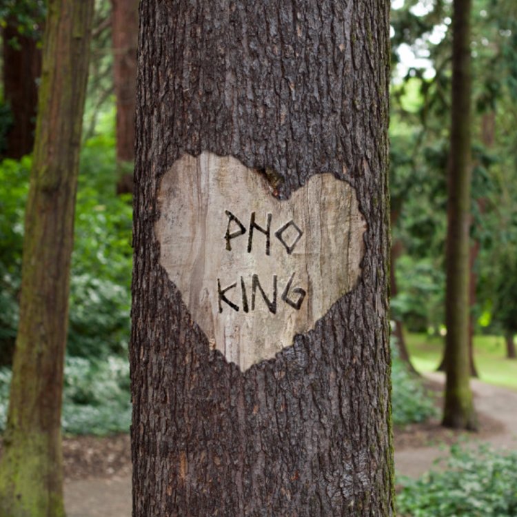 Thanks for helping our business grow, Midtown! We're truly grateful to be here.