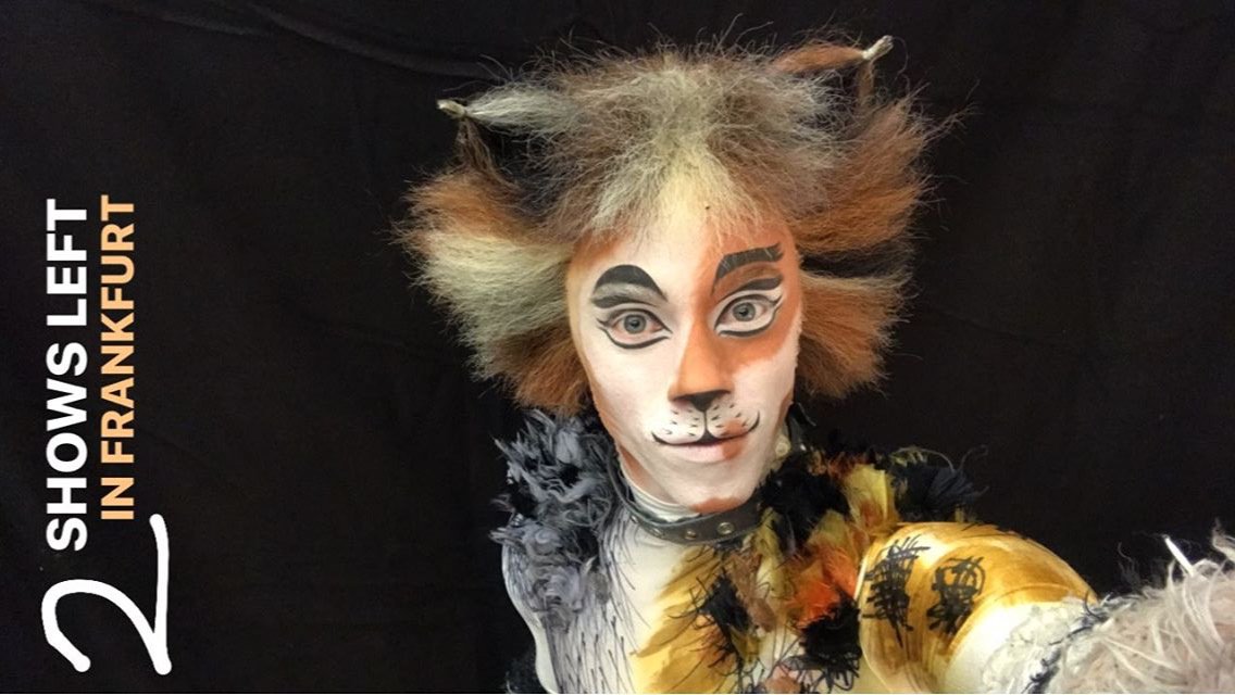 AHuntHQ's tweet photo. Final two show in frankenfurt! 
#CatsInternationalTour #Germany https://t.co/5ymAD2JsYH