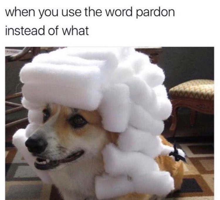 RespectfulMemes's tweet photo. https://t.co/TqWjI6zdfA