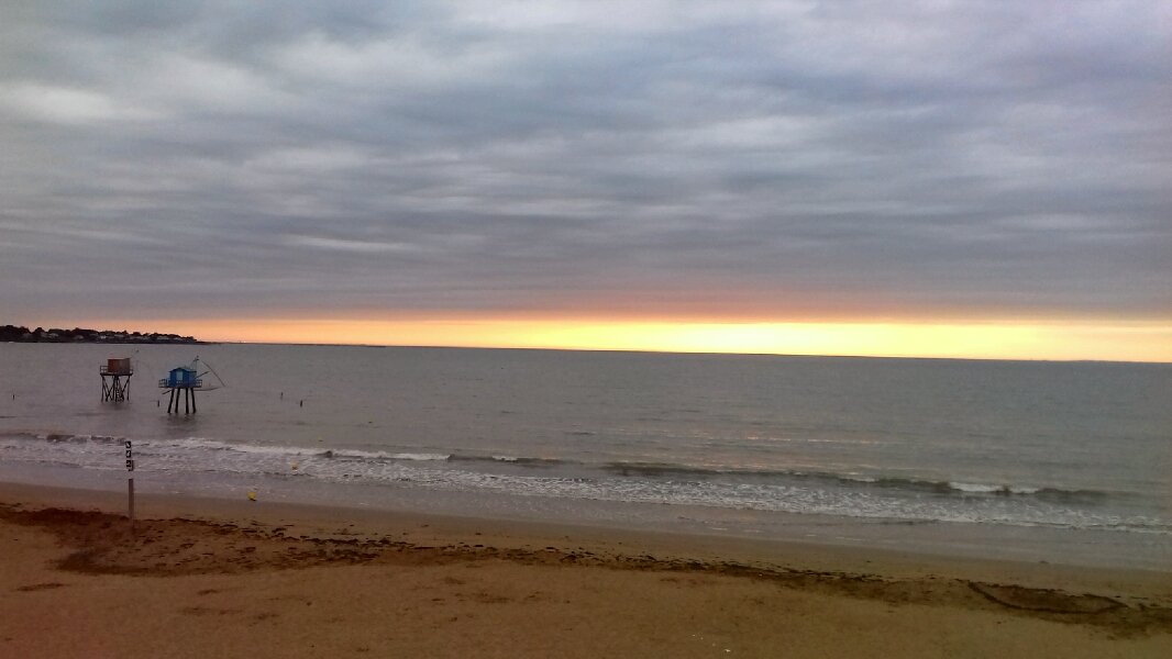 $-R0Y4L-$ tweet media