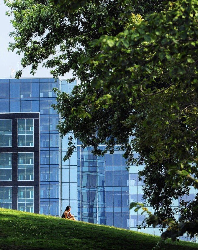 Next weekend is a long weekend so it's the perfect time to plan a last minute getaway 🚗💨 or staycation in Halifax!
📷: <a href="/davega95/">devil may cry</a> on Instagram