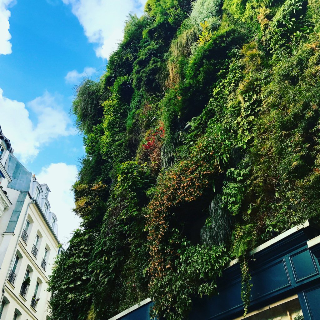 stephonidis's tweet image. Lemon Iceland | Saturday Morning in Paris wordswithsteph.com/2017/08/27/lem…