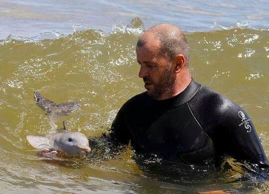 Comunidanimales's tweet photo. Preciosa imagen ¿o no? https://t.co/DbzaNluVSX