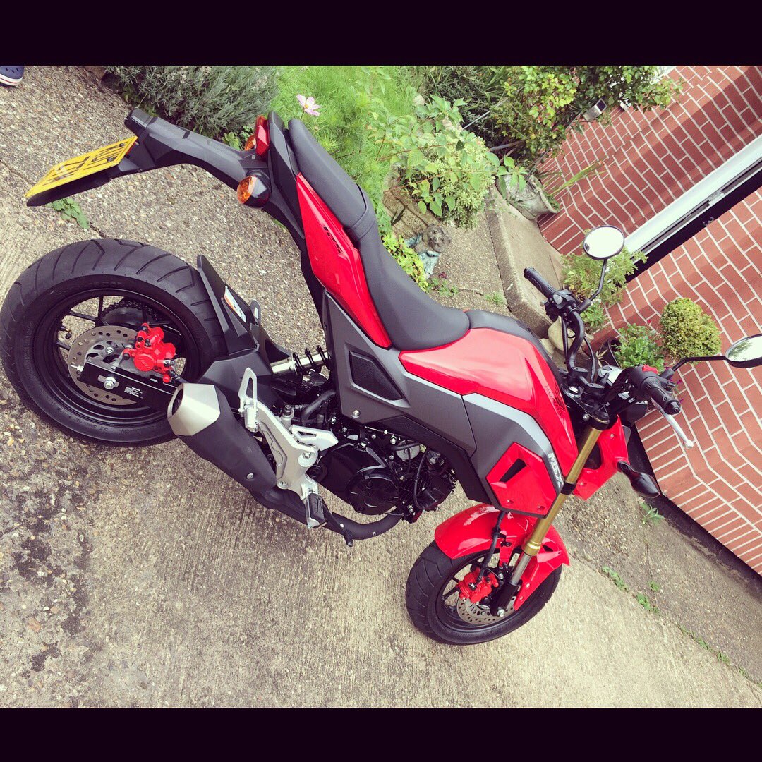 KatieeSyko_xx's tweet photo. On another note, I got this yesterday and I'm so in love 👌😍 #honda #msx125 #grom #17plate https://t.co/I5ildnTsGt