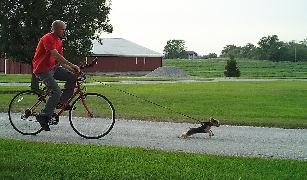 AlgebraHouse's tweet image. Horsepower.