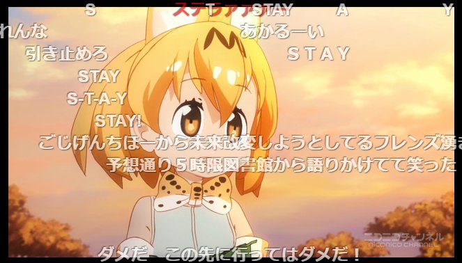 ট ইট র 探跡家もっけい 3年目 Vtuber 11話後の1話動画のコメント けものフレンズ けものフレンズ再放送
