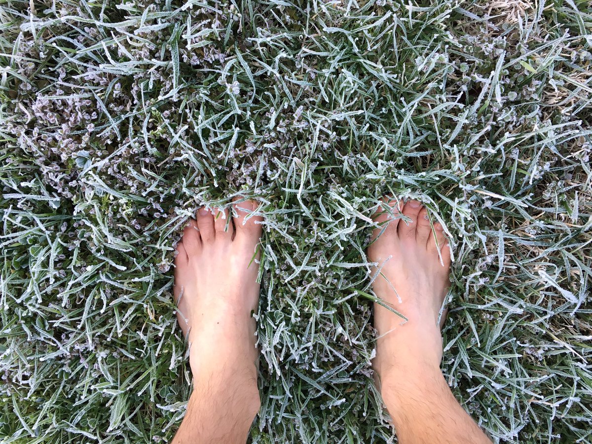 irunonfat's tweet photo. Bit frosty on the feet this morning ❄️ #morningroutine #primal #barefoot #yoga https://t.co/jicSLvS56f