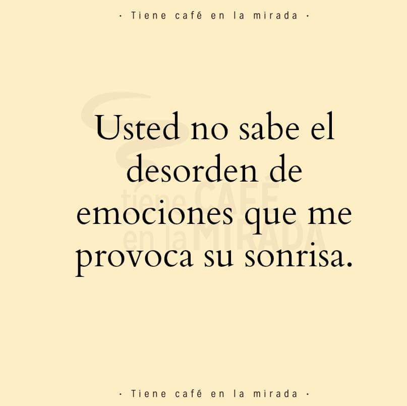 lucere absque tenebr (@sofiaoliva) on Twitter photo 