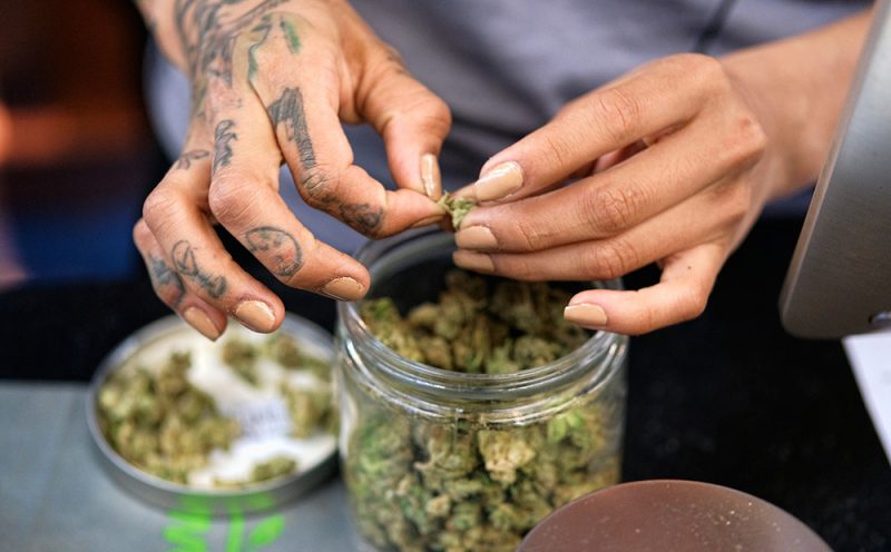 cannabist's tweet photo. Two big trends colliding: Cannabis businesses + millennials https://t.co/Y8a6PMlcwq https://t.co/oFpbh8jyLQ
