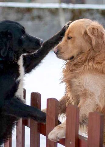 O que você acha?  pin.it/GWo_sH3