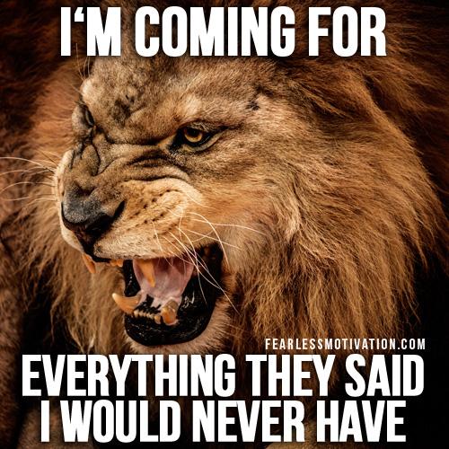 claudio44436722's tweet photo. We are the king of jungle https://t.co/lnMNCnX9f7