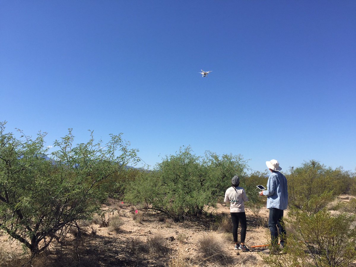 rachelgallerys's tweet photo. beautiful day for soil microbe & foliar chem sampling at #SRER w/Xien, Cynthia & drones! for @marthageb's @NSF #DDRI @UAresearch @NEON_sci https://t.co/Jzredd3Vmw