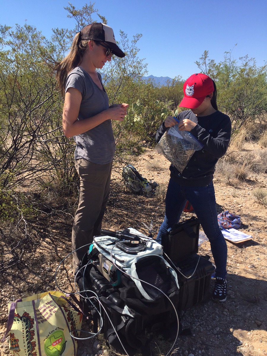rachelgallerys's tweet photo. beautiful day for soil microbe & foliar chem sampling at #SRER w/Xien, Cynthia & drones! for @marthageb's @NSF #DDRI @UAresearch @NEON_sci https://t.co/Jzredd3Vmw