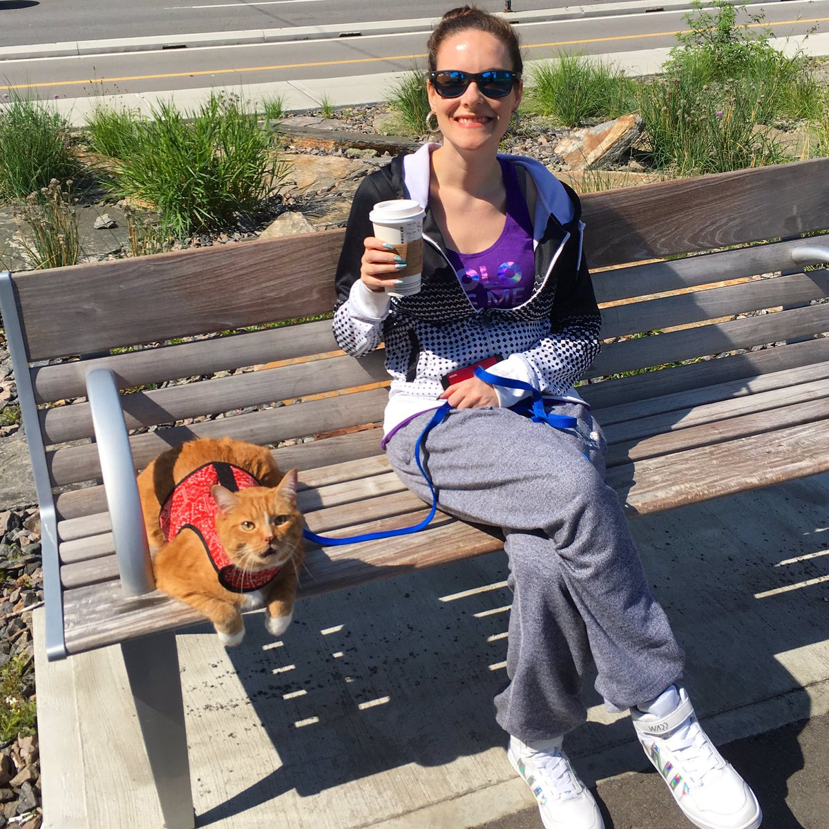 nailogical's tweet photo. Just walked my dog https://t.co/jlC3wtDGIn