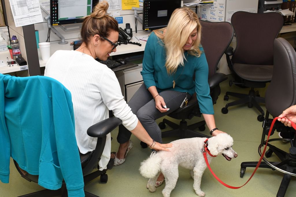 AMonavvari's tweet photo. Proud to be speaking today at #WVC2017 about the latest research @MSHospital where animal, human and environmental health meet #onehealth https://t.co/0DCaFu07ly