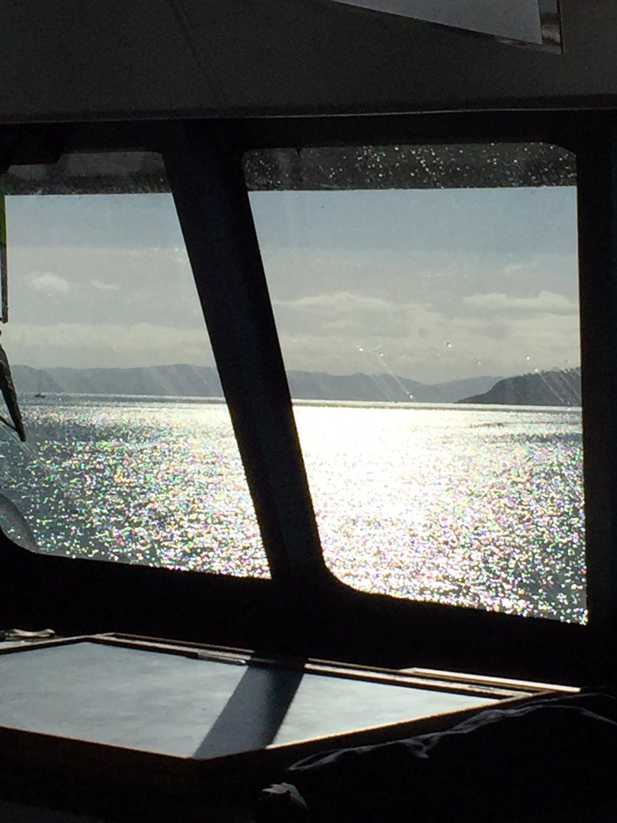 Maja_Zwolsman's tweet photo. I'm off to the #GreatBarrierReef for the night. It's a tough job but someone has to do it. #cruisewhitsundays #Reefsleep 🐟🐠🐳😃 https://t.co/ia2DLdbUK9
