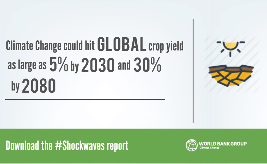 #Learn what will be the effects of #ClimateChange on poor: 2)Food prices up wrld.bg/a8QA30eHXCk #Shockwaves