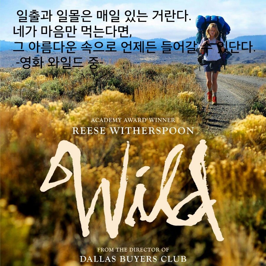 신림그랑프리나이트 웨이터참이슬의 하루명언,명대사 일출과일몰은 매일있는거란다. 네가 마음만먹는다면, 그 아름다운속으로 언제든들어갈수있...