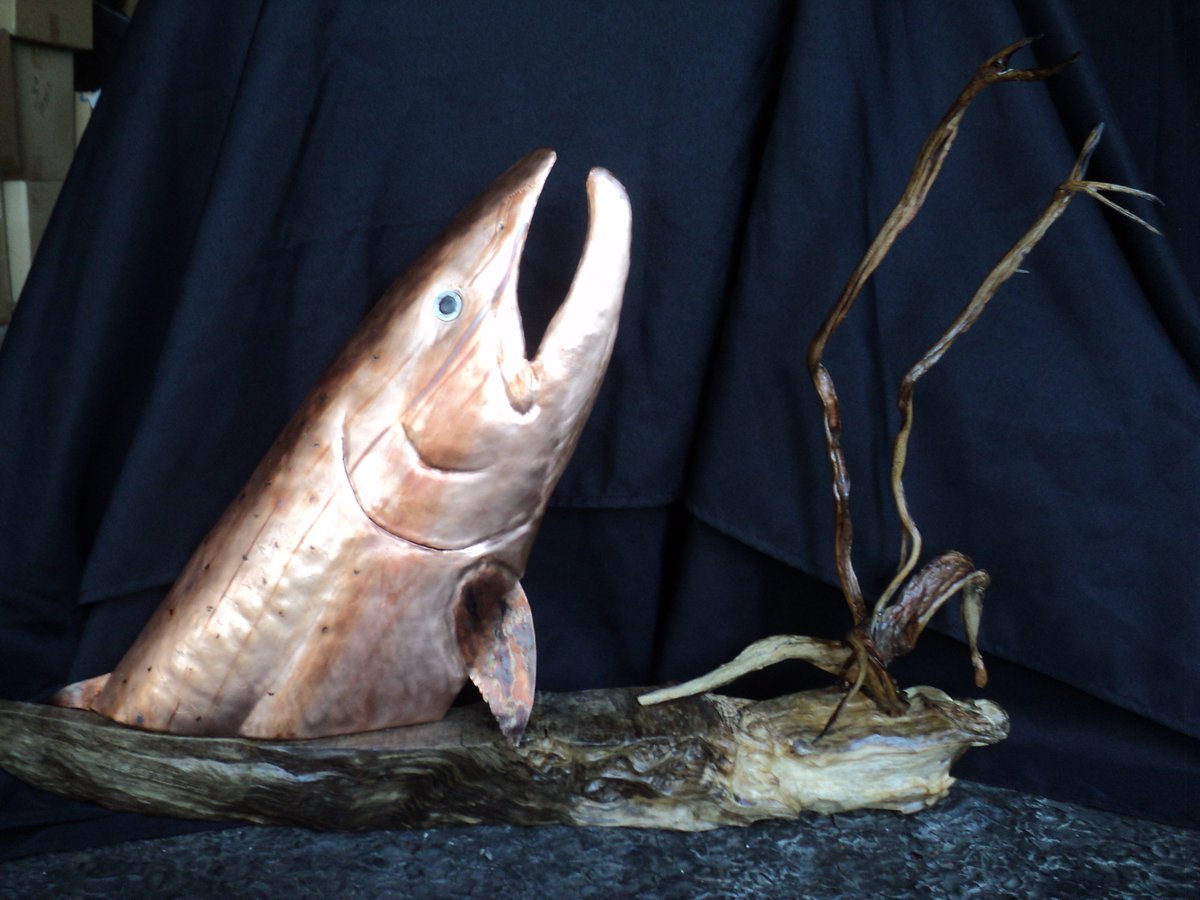 Holdzit's tweet photo. Natural fish art at https://t.co/qSmrcT6MYl  #oregonnaturaldesigns  #art #steelhead #fishing #fish #fishing #salmon https://t.co/KnT0VBdk6i