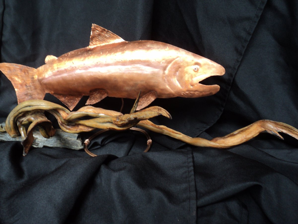 Holdzit's tweet photo. Natural fish art at https://t.co/qSmrcT6MYl  #oregonnaturaldesigns  #art #steelhead #fishing #fish #fishing #salmon https://t.co/KnT0VBdk6i