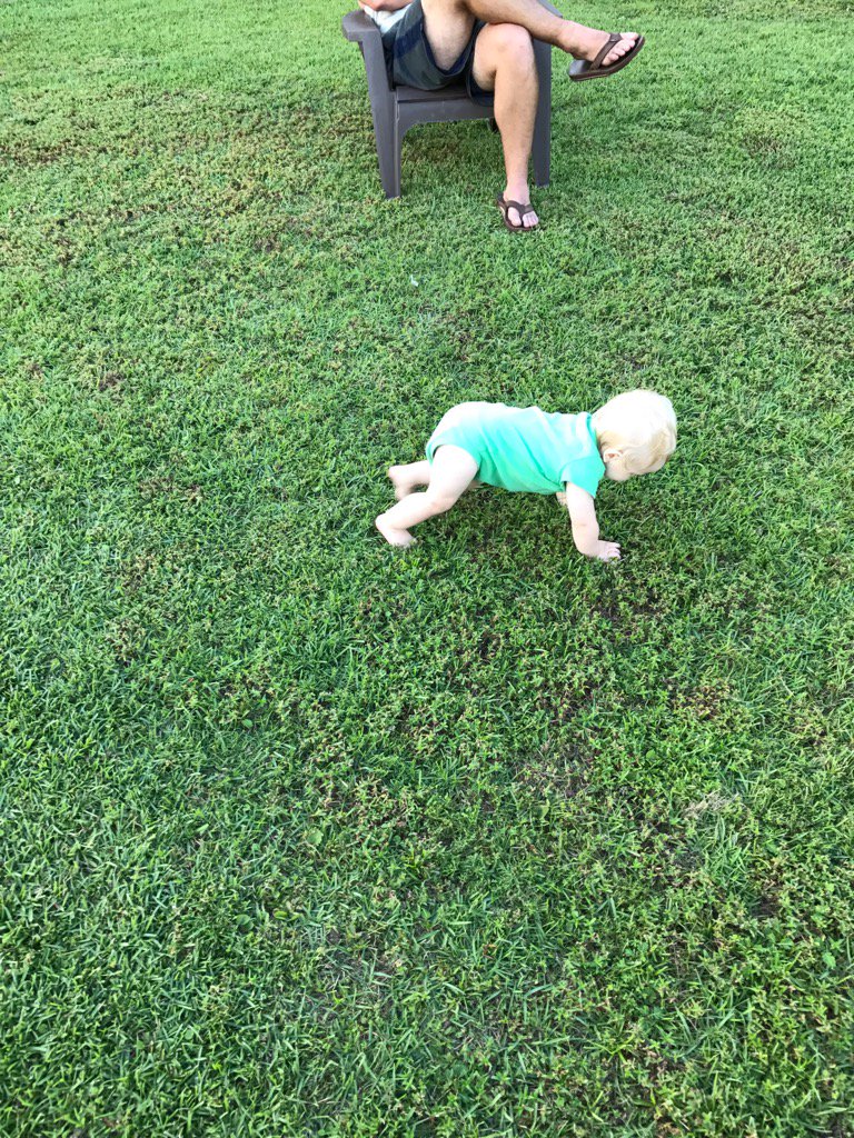 rickholliday52's tweet photo. Crab drill at 10 months.  Perfect 4 Point Stance!  @rickholliday52 grandson @ECUPiratesFB https://t.co/i3ycxFiWSN
