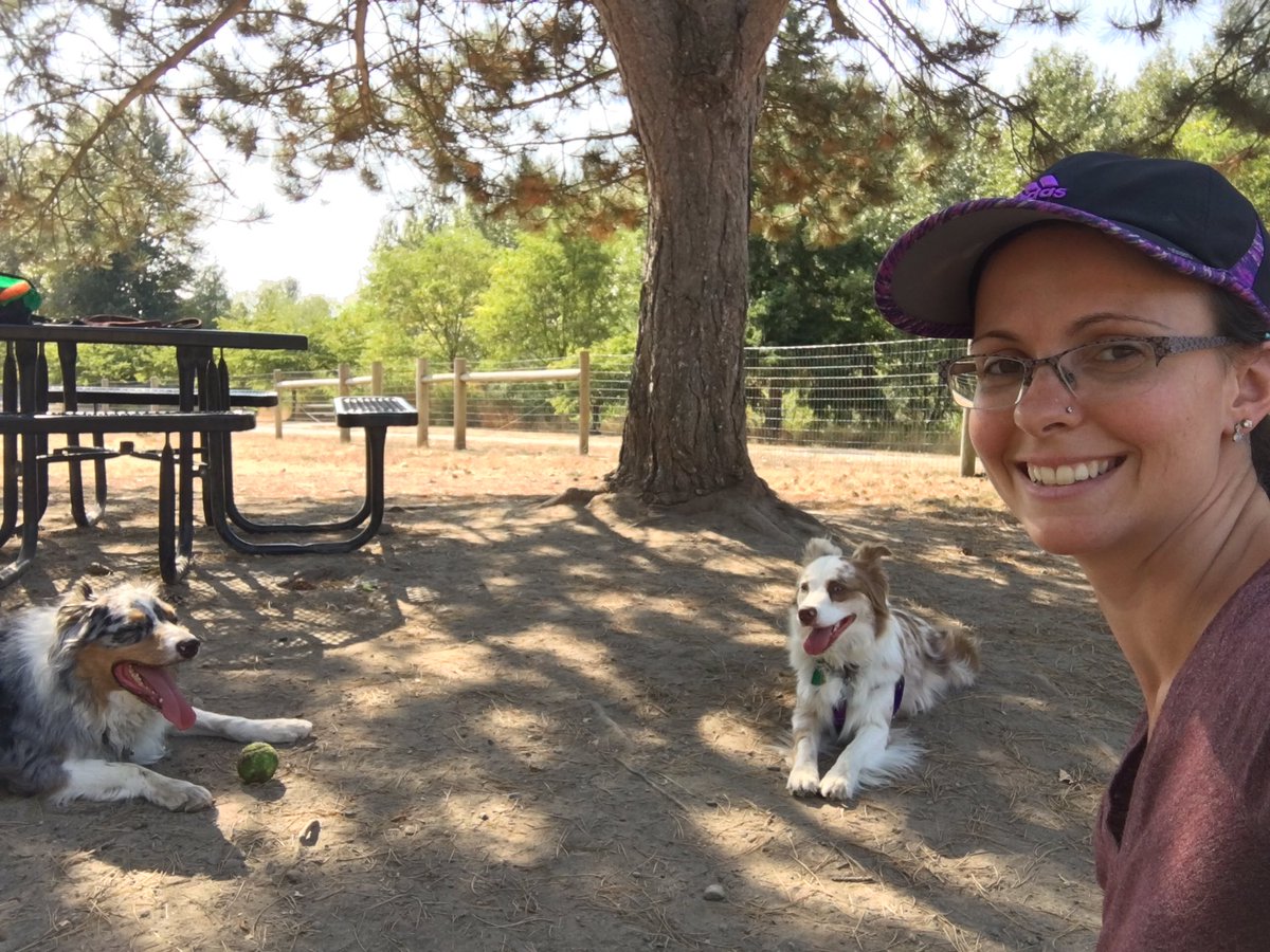 AmbitioninLif's tweet photo. Enjoying the gorgeous #summerday with the #australianshepherd at the #dogpark #dogmom #doglover #momlife #dogsneedexercise https://t.co/tqQ26ly5Od