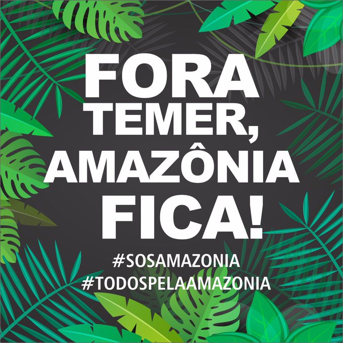 Ver imagem no Twitter