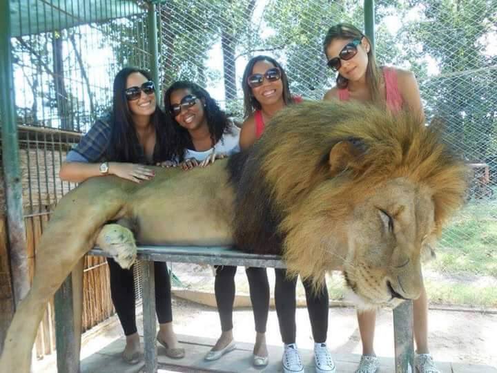 efoulon1's tweet photo. Le zoo de Lujan drogue et enchaine les animaux qui finissent par mourir de dépression pr qq photos douteuses avec les touristes #Argentine https://t.co/vP1YRc9erK